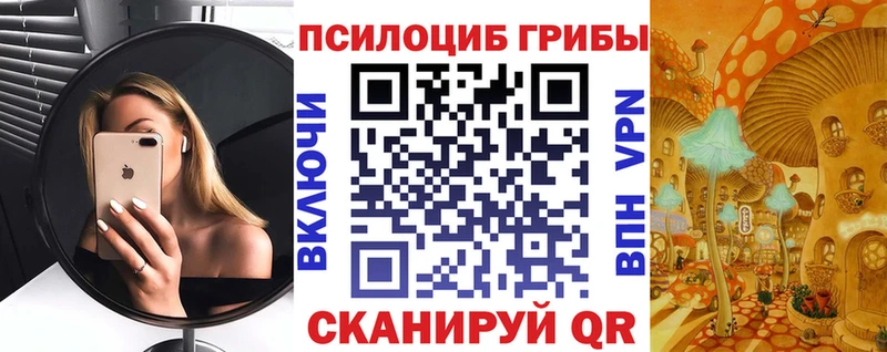 Купить где  Петушки  Псилоцибиновые грибы Psilocybine cubensis 