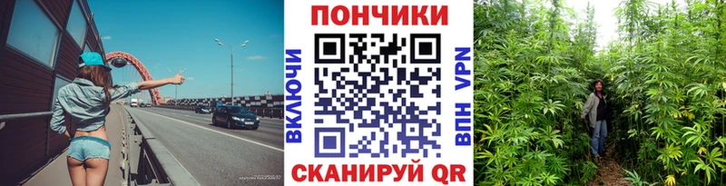 МАРИХУАНА семена  Купить где  Петушки 
